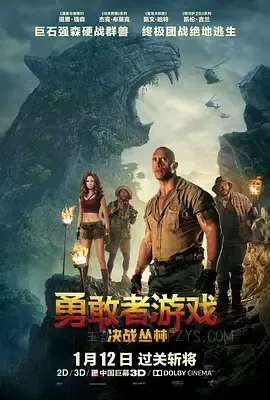 勇敢者游戏：决战丛林 Jumanji: Welcome to the Jungle 2017