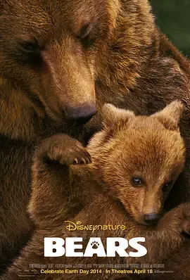 熊世界 Bears 2014